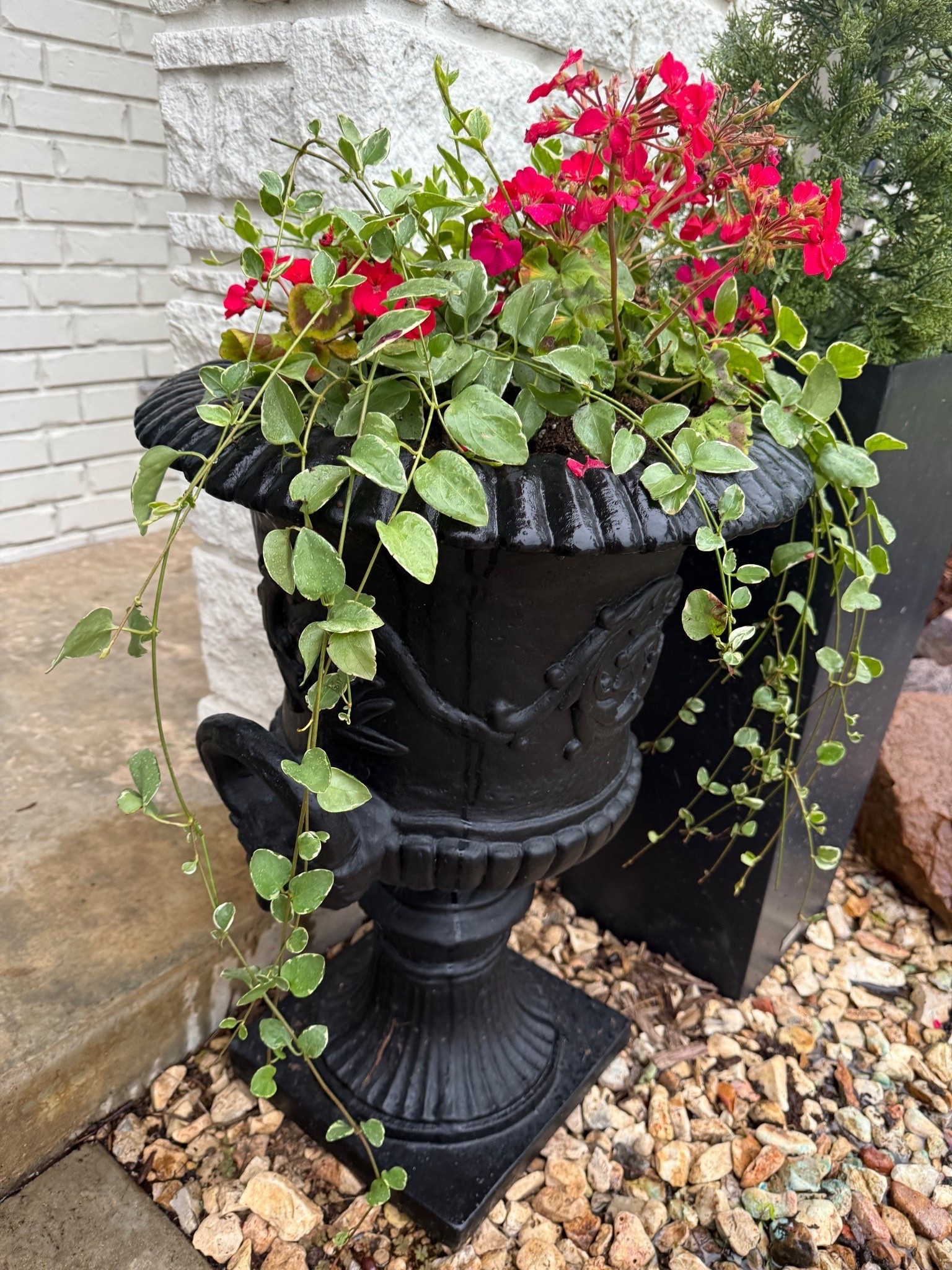 These black urns are gorgeous and currently on sale! 

#LTKSeasonal