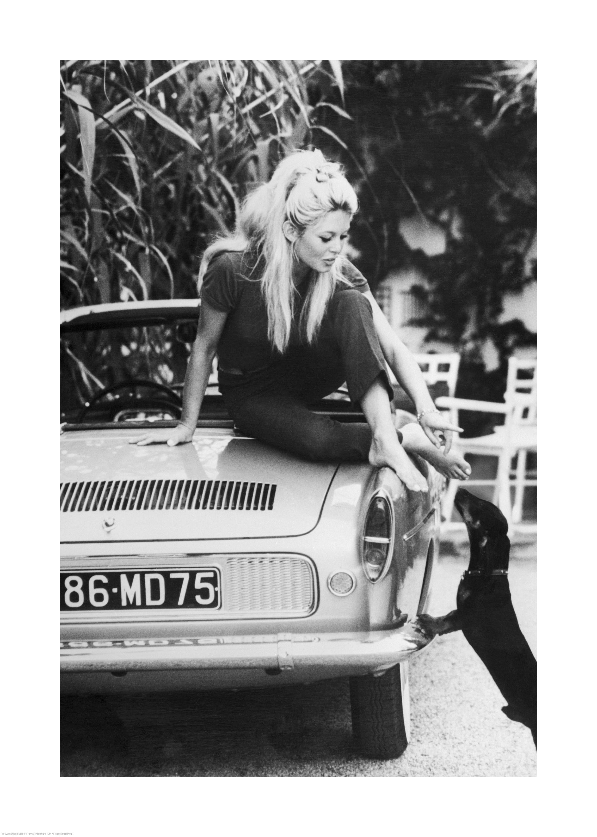 Brigitte Bardot Print | Desenio