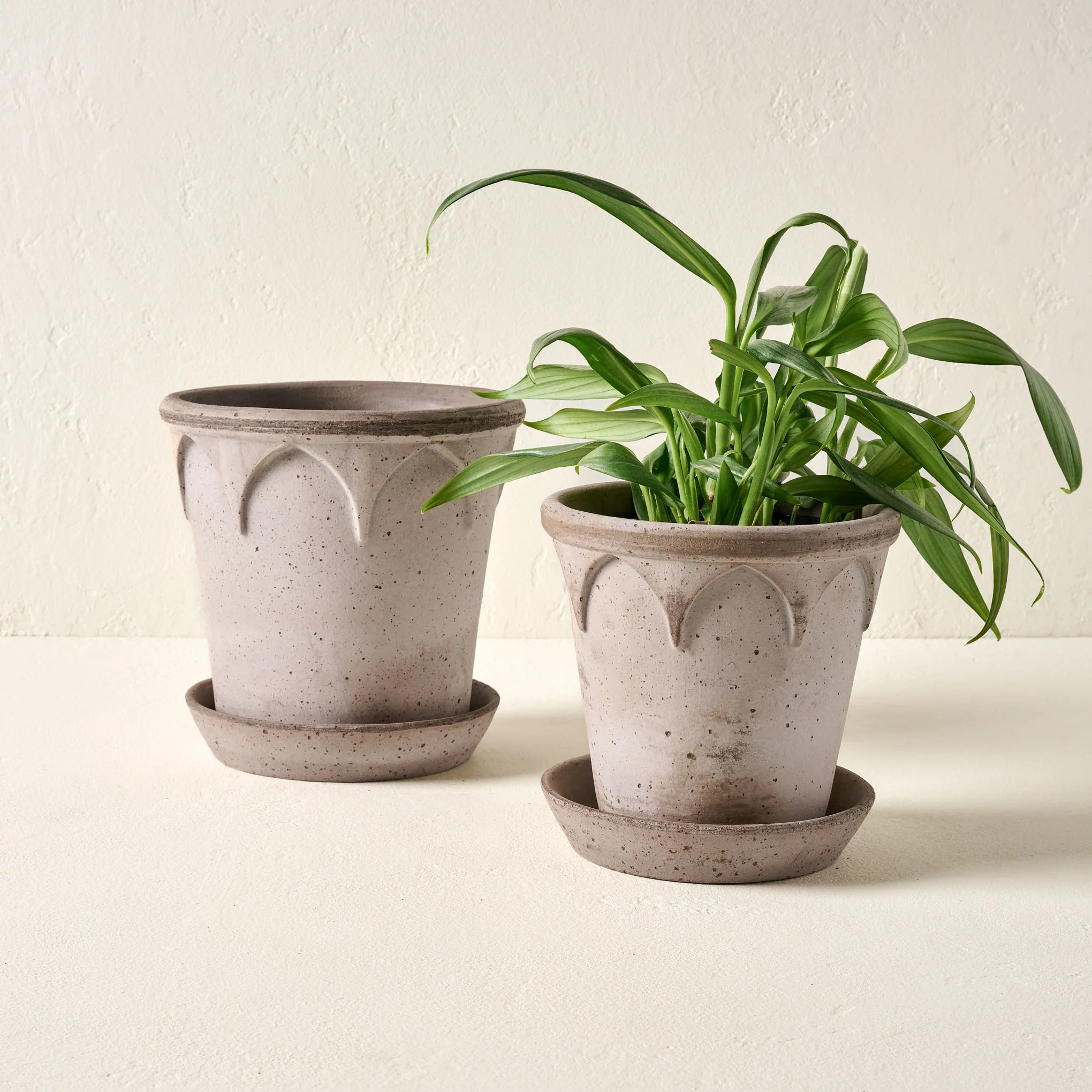 Arched Bergs Pot | Magnolia