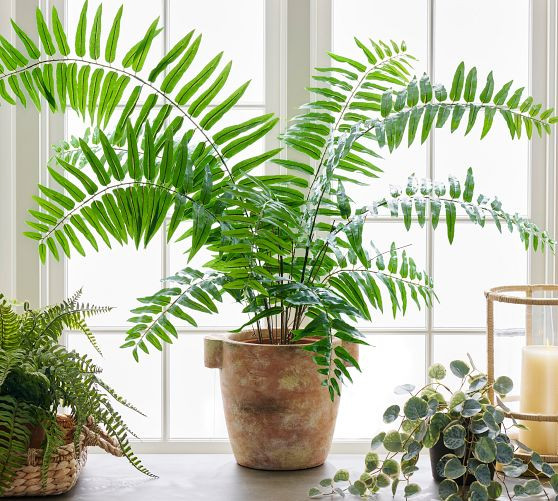 Faux Sword Fern | Pottery Barn (US)