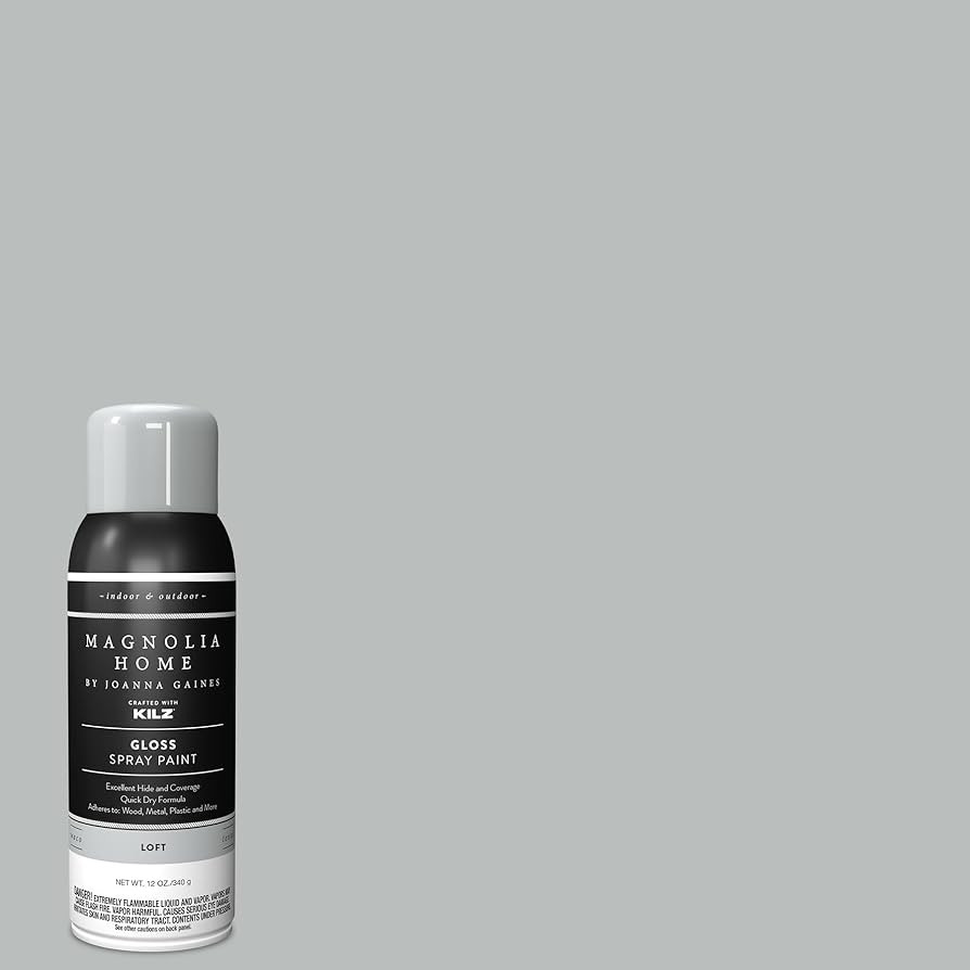Magnolia Home by Joanna Gaines Enamel Interior/Exterior Spray Paint for Small Projects, Gloss, LO... | Amazon (US)