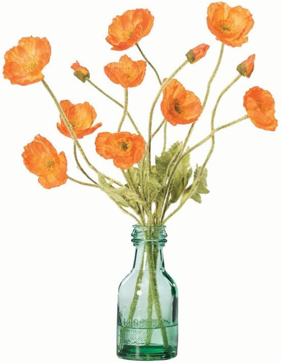 Petals - Orange California Poppies Silk Flower Arrangement in Green Glass Bottle - 16" Height x 1... | Amazon (US)
