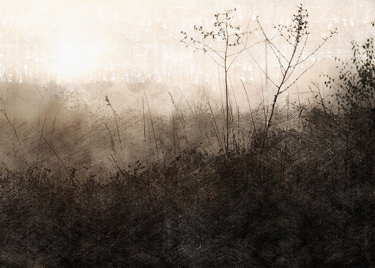 Fog at Dawn | Collection Prints