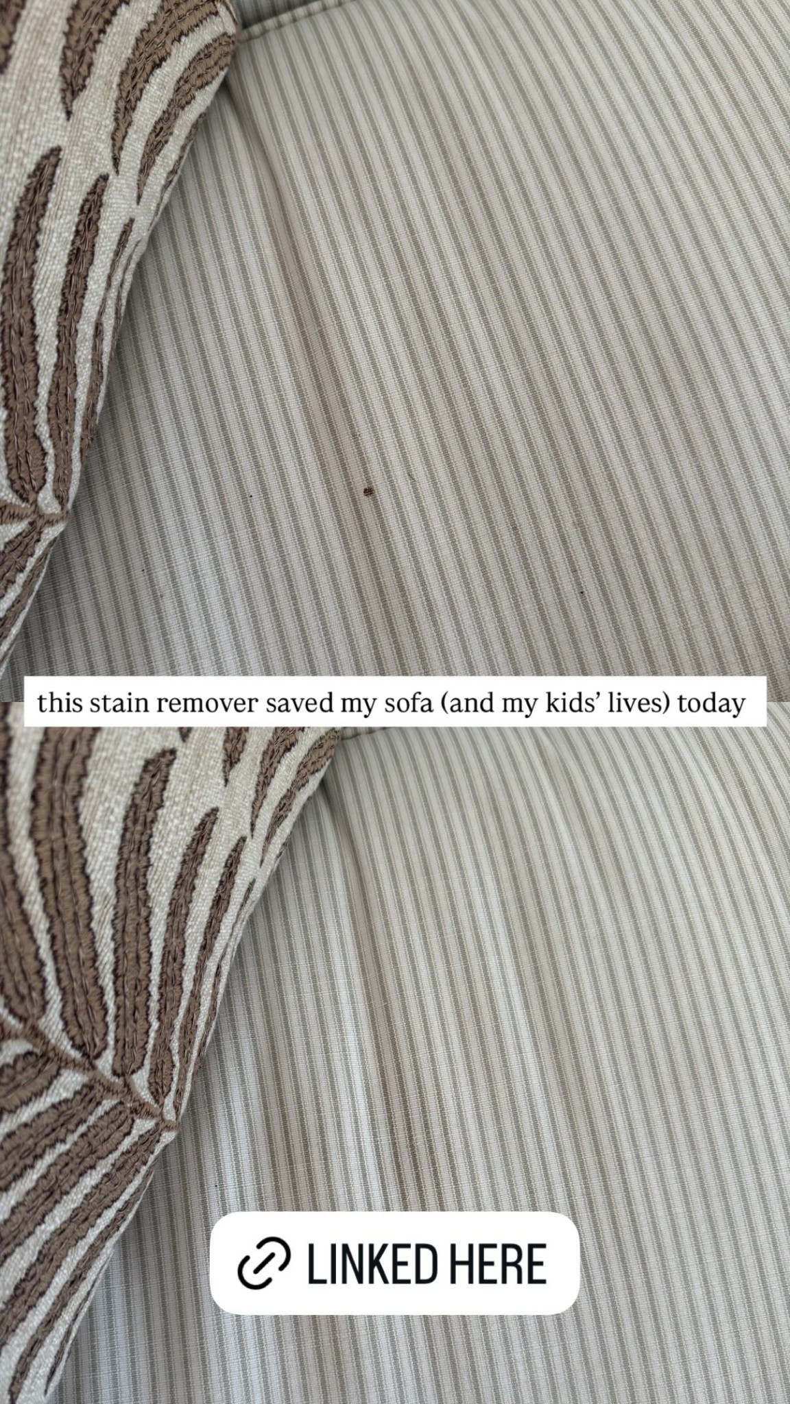 this stain remover saved my sofa (and my kids’ lives) today

#LTKKids #LTKHome #LTKmomlife