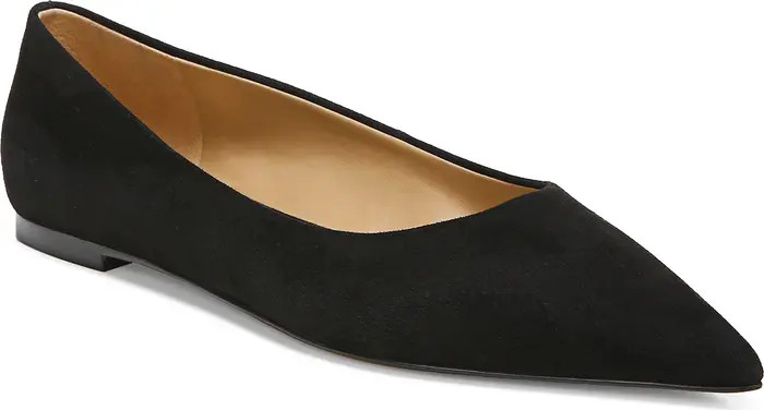 Wanda Pointed Toe Flat (Women) | Nordstrom