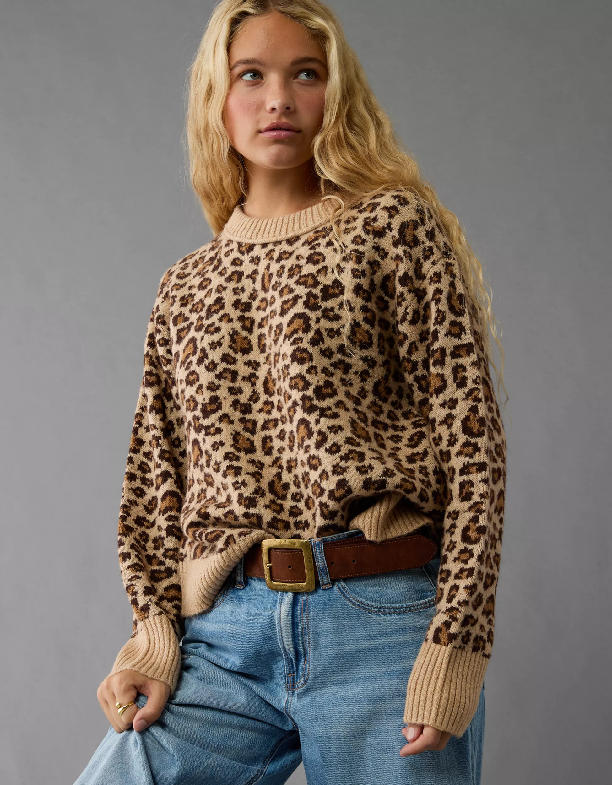 AE Whoa So Soft Crew Neck Sweater | American Eagle Outfitters (US & CA)