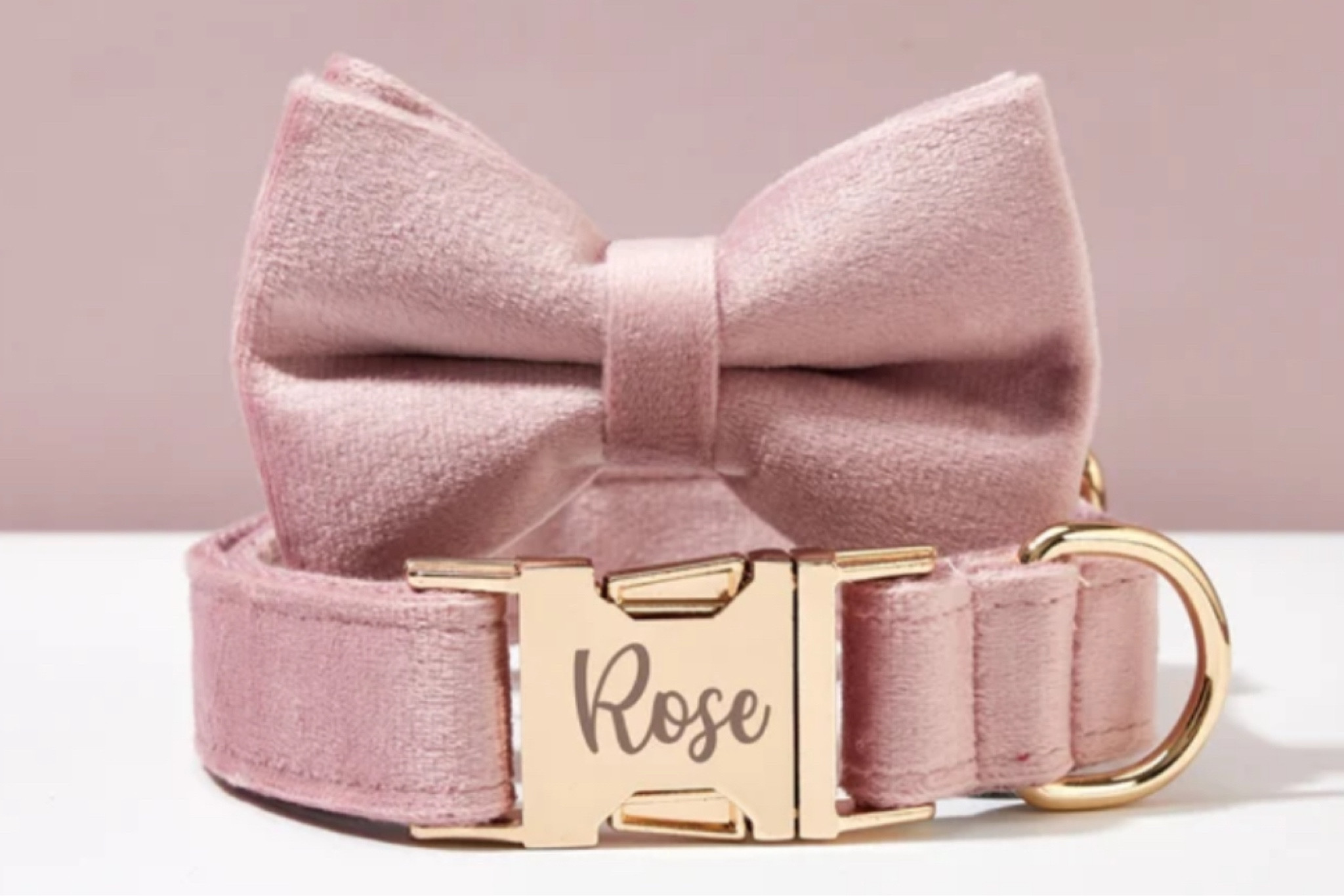 We got her the cutest collar / leash / bow set 

#LTKFindsUnder50 #LTKSeasonal #LTKFamily