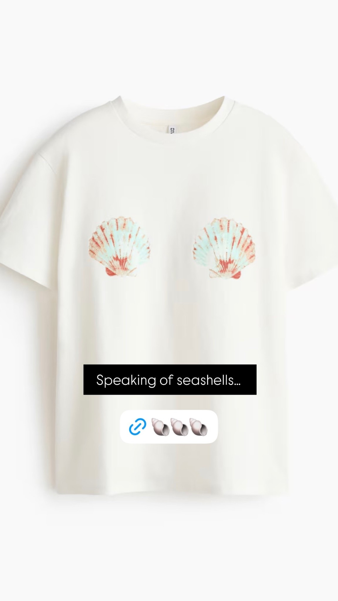 Speaking of seashells…