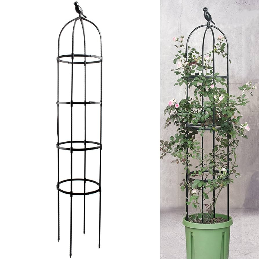 6ft Garden Obelisk Trellis for Climbing Plants-Rustproof Metal Pipe with Heavy Duty Plastic Coate... | Amazon (US)