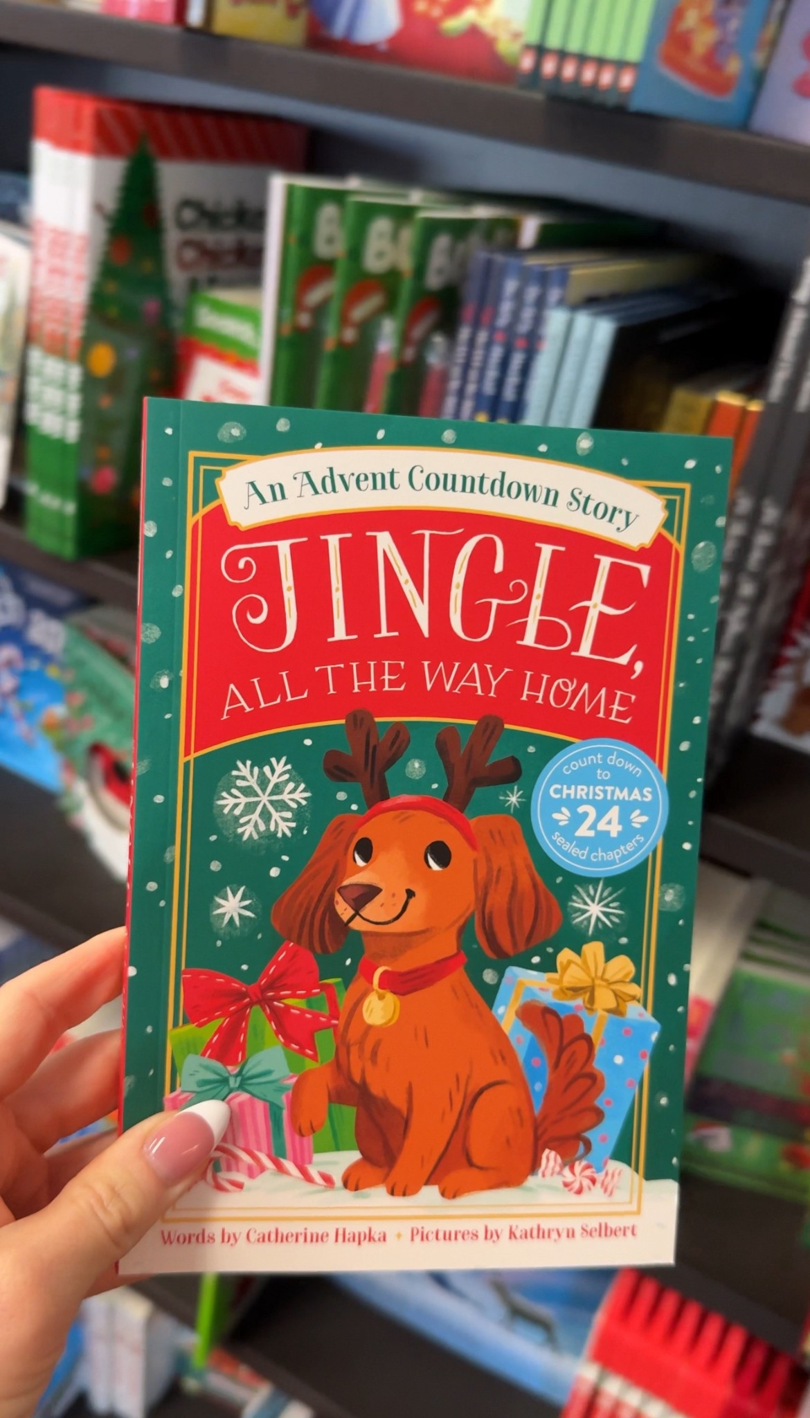 Cute advent chapter book for kids 

#LTKHoliday #LTKSaleAlert #LTKGiftGuide