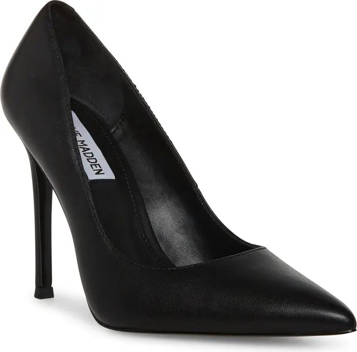 Evelyn Pointed Toe Pump (Women) | Nordstrom