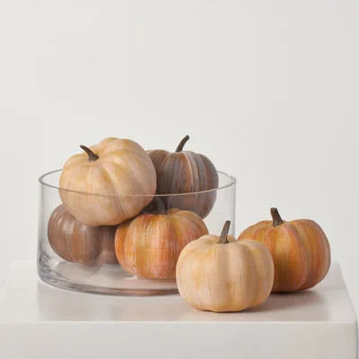 Thanksgiving Fall Harvest Weathered Orange Neutral Mix Pumpkin Set Of 6 | Wayfair North America