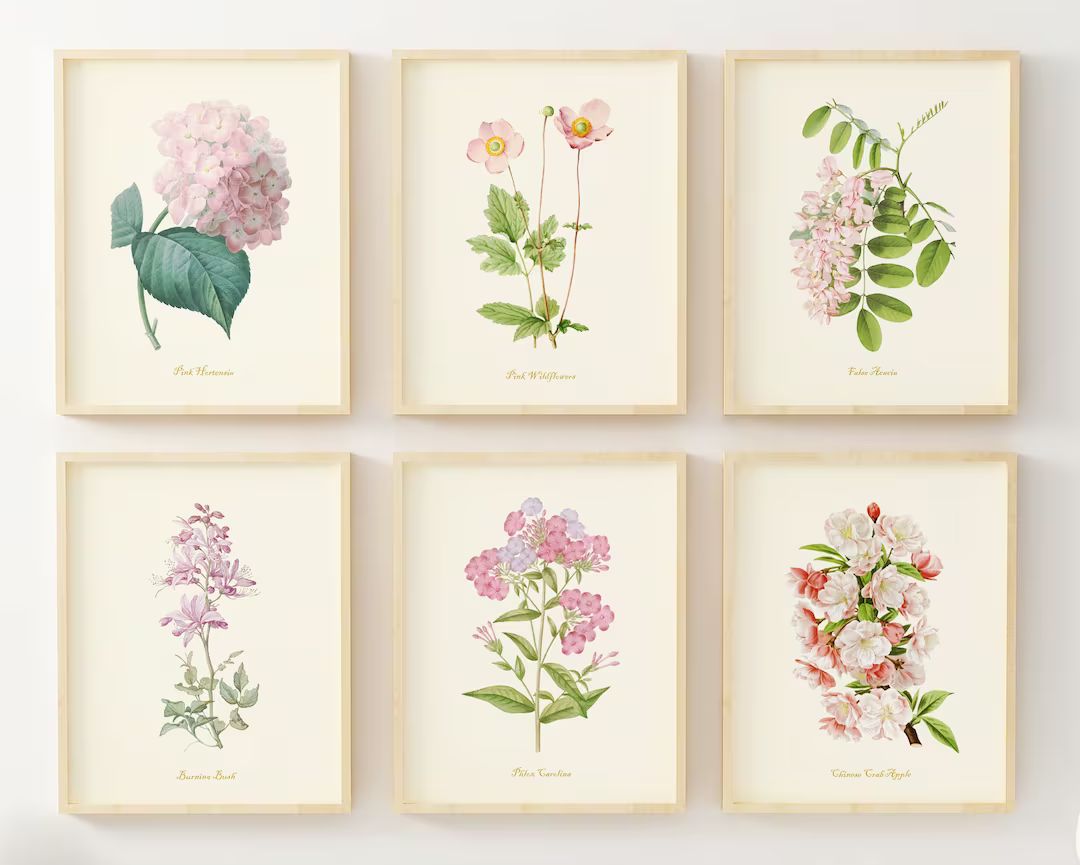 Flower Art Prints  Pink Floral Decor  Botanical Wall Art  - Etsy | Etsy (US)