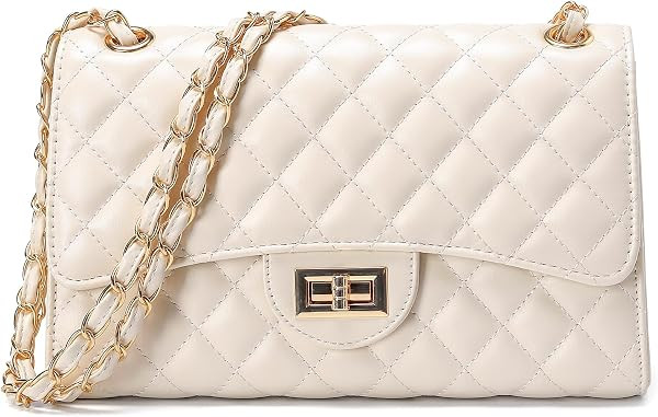 Quilted Leather Crossbody Bags for Women Trendy Ladies Shoulder Purse Satchel HandBag with Chain ... | Amazon (US)