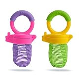 Munchkin Fresh Food Feeder, 2 Pack, Purple/Green | Amazon (US)