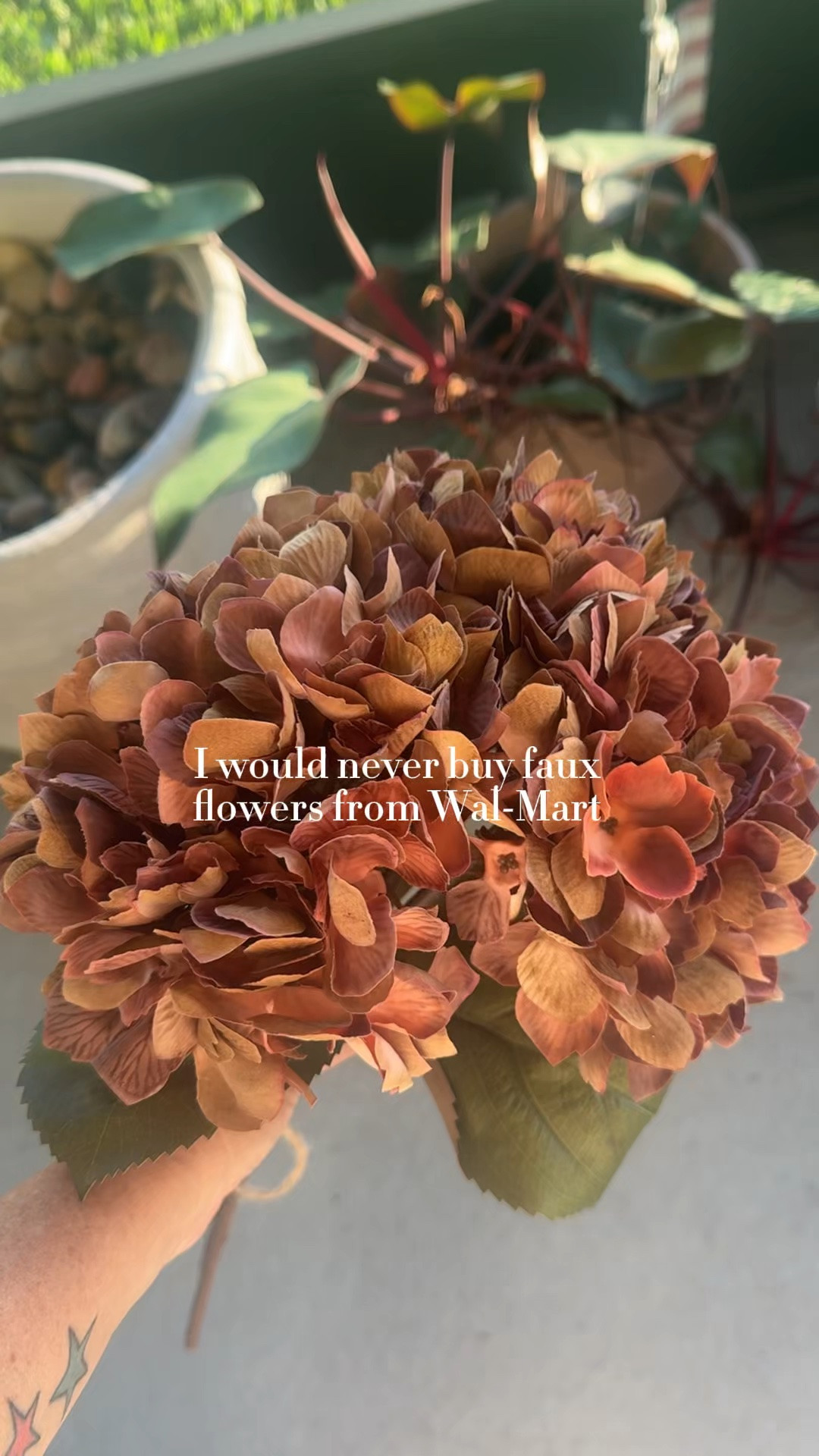 I said I’d never buy fall florals from Walmart… and then I found THESE. 😂🍂

The deeper red + brown tones were exactly what I wanted for fall — warm and seasonal without turning my whole living room orange. I added them to a Pottery Barn pot, brought in a little mustard-colored dish with an acorn, and suddenly this corner feels like fall.

Sometimes it really is just a few small swaps that make your home feel ready for a new season. 🤎

I linked the florals + everything else in this little fall setup on LTK!

#FallDecor #FallHomeDecor #FallLivingRoom #AutumnDecor #WalmartFinds #CozyHome #LivingRoomDecor

#LTKHome #LTKSeasonal