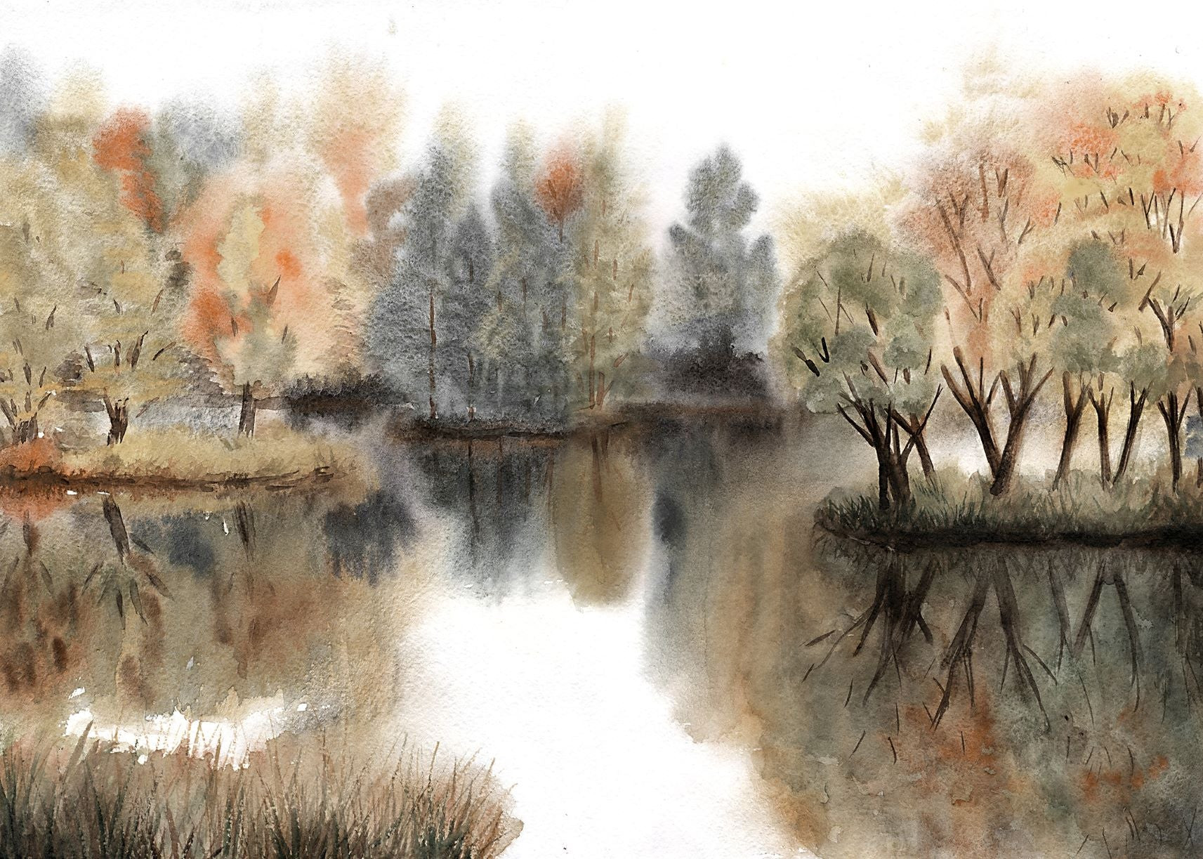 Foliage in the Fog | Collection Prints