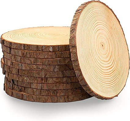 Set of (10) 10-11 inch Wood Slices for centerpieces! Centerpiece Table Decorations, Wood Slice ce... | Amazon (US)