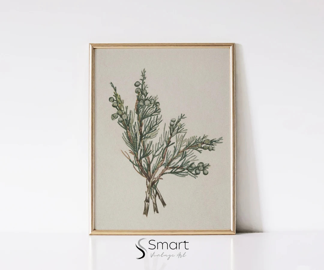 Vintage Juniper Branch Print: Botanical Winter Wall Art (Digital Download) | Etsy (US)