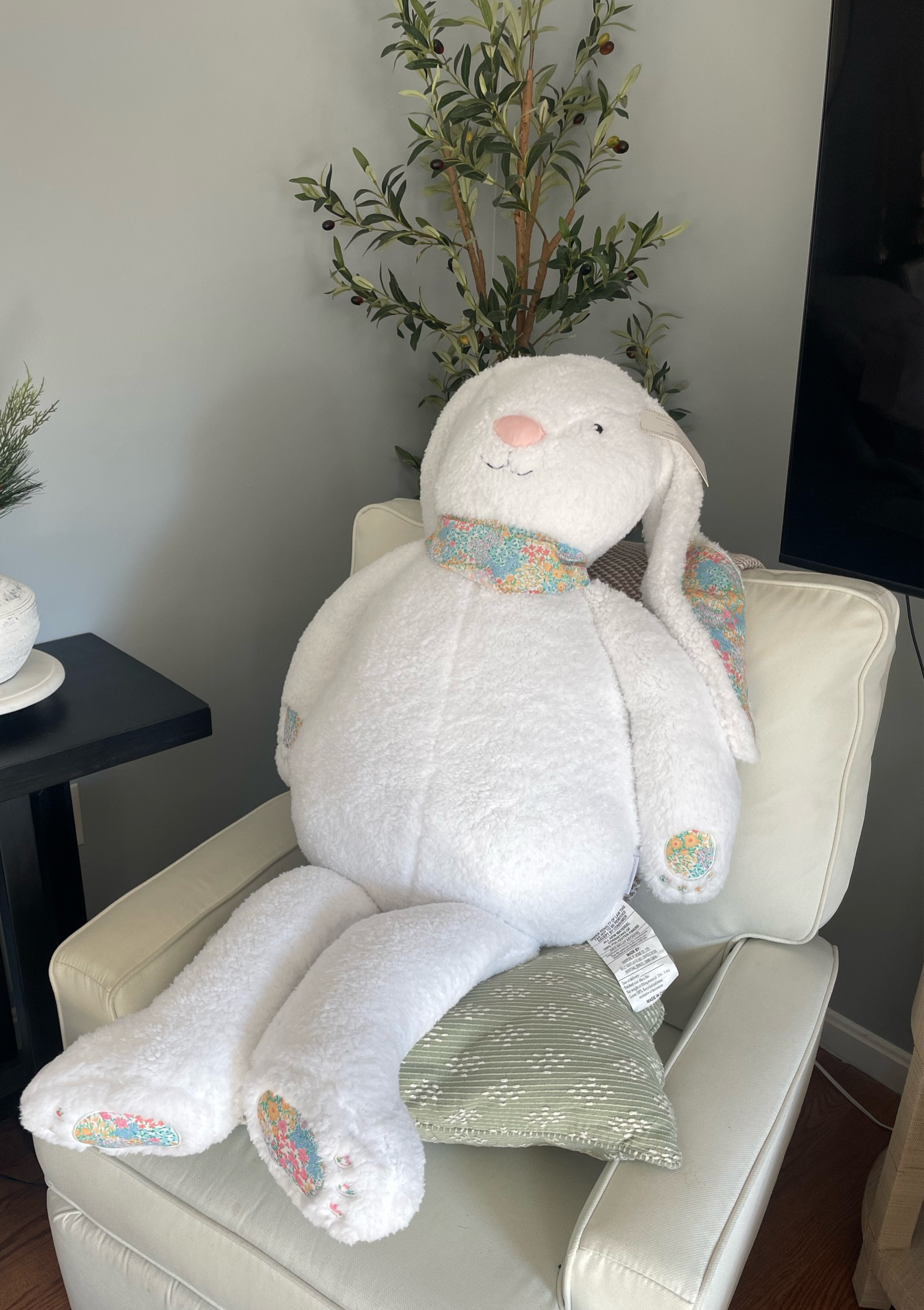 Oversized 26x48 Easter bunny stuffed animal 

#easterbunny
#easterdecor
#bunnystuffedanimal


#LTKSeasonal #LTKFindsUnder50 #LTKFamily