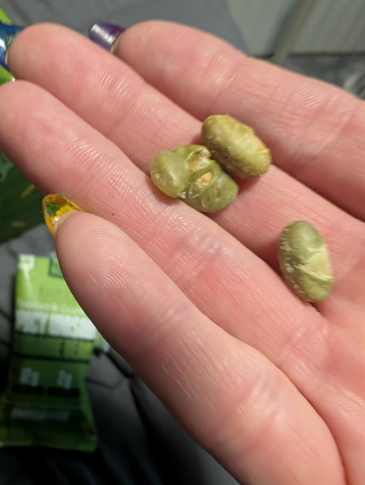 Where You Bean Edamame Beans Snack (Dill Pickle) - Crunchy and Dry Roasted Edamame Beans - High P... | Amazon (US)