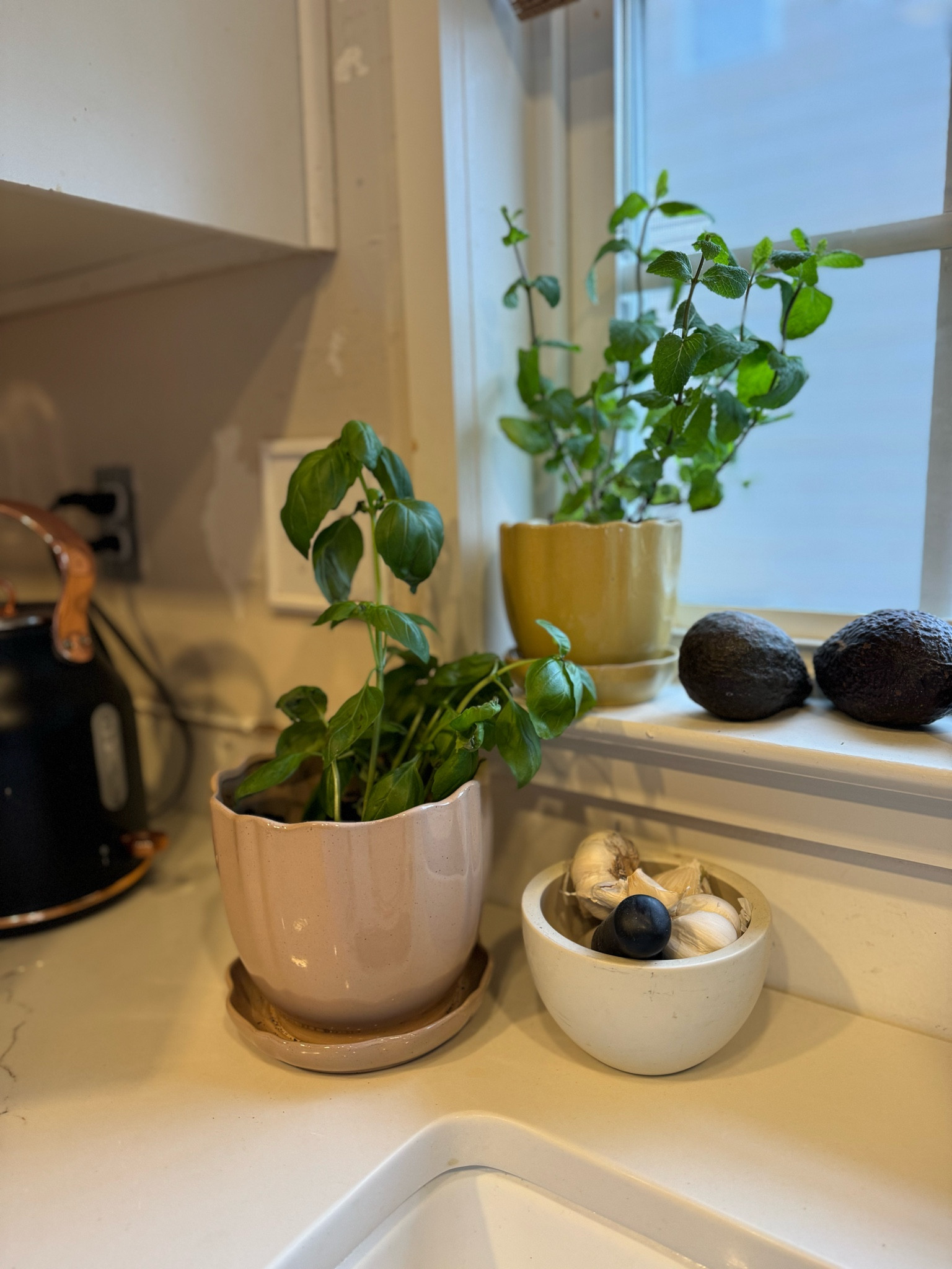 Scalloped edge pots! 

#LTKHome #LTKMostLoved #LTKFindsUnder50