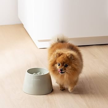 Navaris Elevated Slow Feeder Dog Bowl - Melamine Pet Food Bowl for Dogs and Cats - Raised Cat Fee... | Amazon (UK)