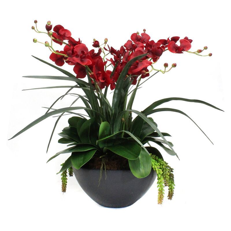 28" Red Orchid Arrangement w/ Planter, Faux | One Kings Lane