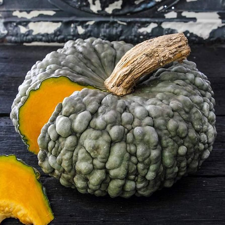 UtopiaSeeds Marina di Chioggia Pumpkin Seeds - Warty Blue Squash - Delicious - Approximately 10 S... | Amazon (US)