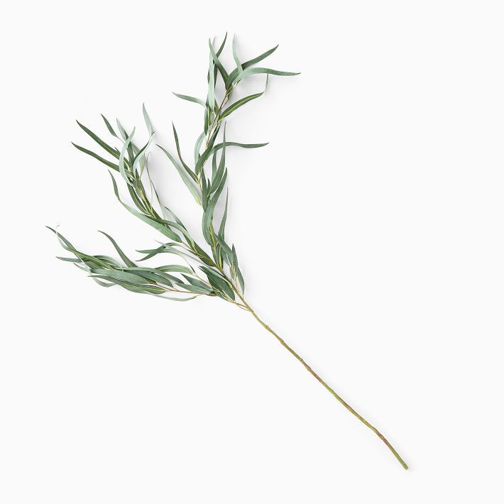 Faux Long Leaf Eucalyptus Branch | West Elm (US)