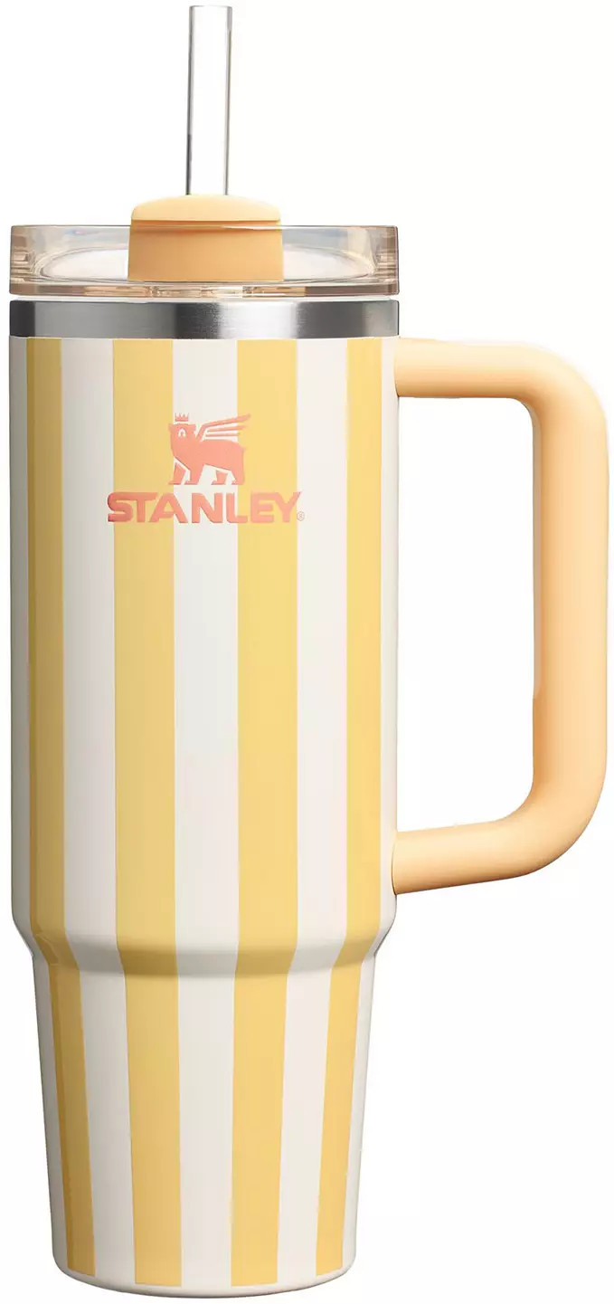 Stanley 30 oz. Quencher H2.0 FlowState Tumbler - Oasis Collection | DICK'S Sporting Goods