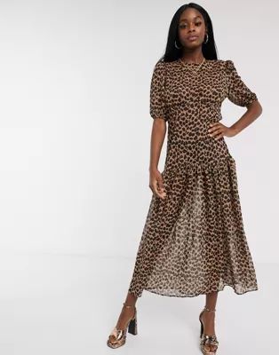 Never Fully Dressed short sleeve sheer drop hem maxi dress in leopard | ASOS (Global)