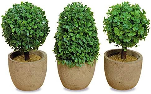 WHW Whole House Worlds Realistic Faux Boxwood Sculptural Topiary, Set of 3, Curly Leaf, Cone and ... | Amazon (US)