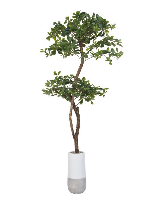 72in Olive Tree With Real Bark Covered Trunk | TJ Maxx