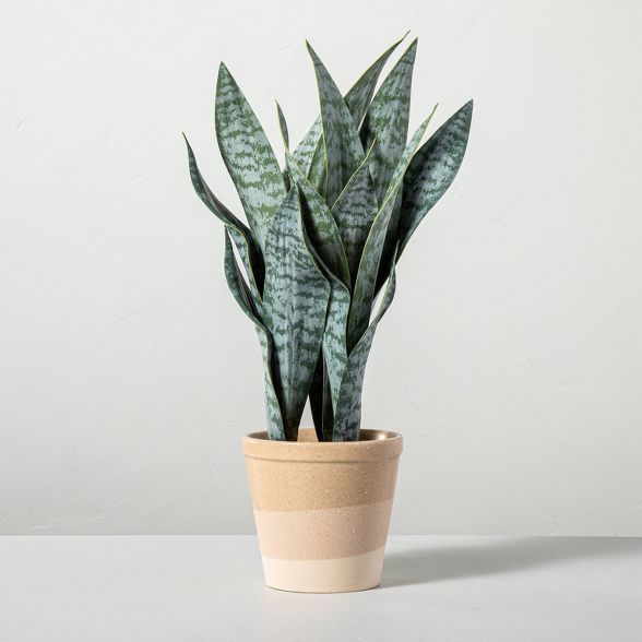 21&#34; Faux Snake Potted Plant - Hearth &#38; Hand&#8482; with Magnolia | Target