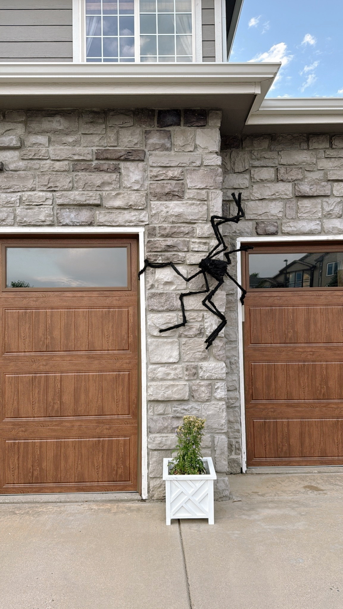 GIANT 6.5 feet fuzzy spiders for your home! 

#LTKSeasonal #LTKHome #LTKFindsUnder50