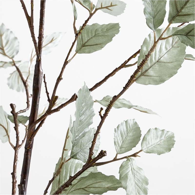 Faux Sage Green Leaf Branch 66" + Reviews | Crate & Barrel | Crate & Barrel
