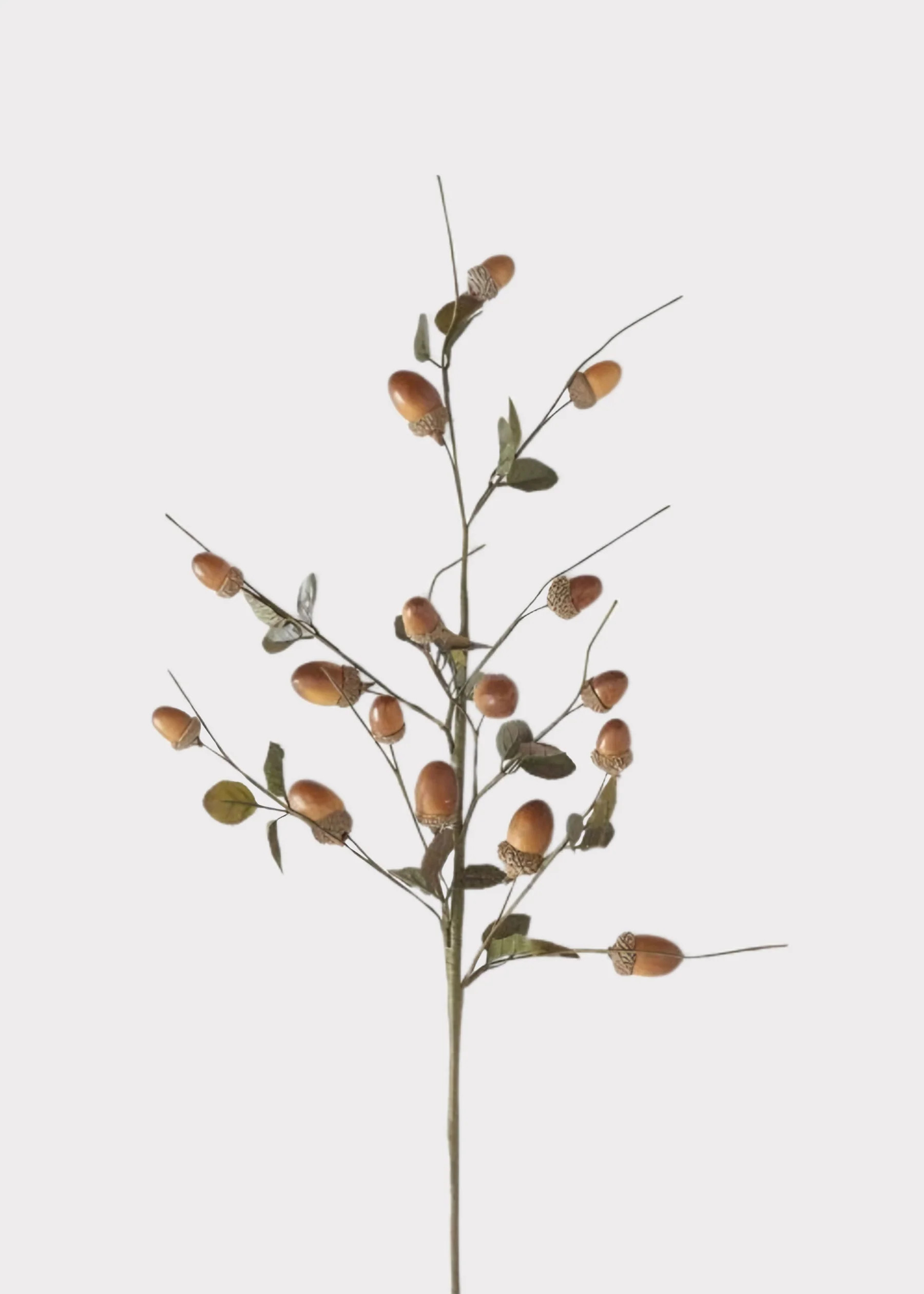 Artificial Acorn Fall Branch - 27" | Afloral