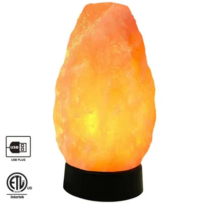 Himalayan Glow Pink Salt Lamp, Multi-Color Crystal Rock Night Light with Plastic Base & 3-5 Lbs | Wayfair Professional