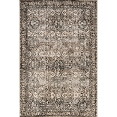 Nuloom Hillstone Collection Aether Traditional Vintage Medallion Area Rug | Target