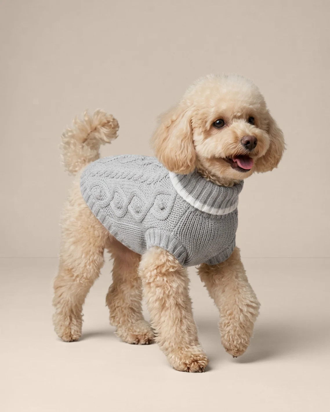 Cable Knit Dog Sweater | Draper James (US)