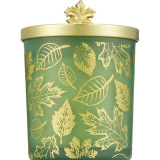 Universal Candle Company Joyward Harvest Gratitude Candle, Orchard Apple & Cinnamon, 9.5 oz | CVS | CVS Health