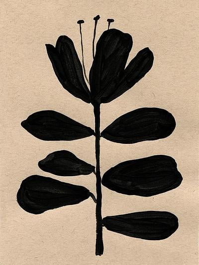 Botanical Garden | Artfully Walls