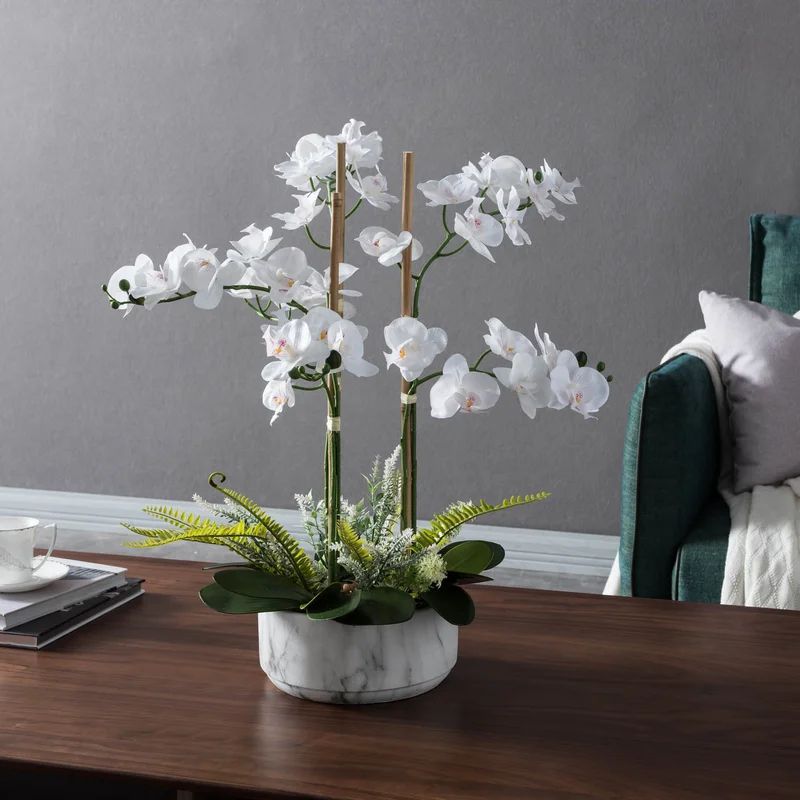 Orchid Floral Centerpiece in Pot | Wayfair North America