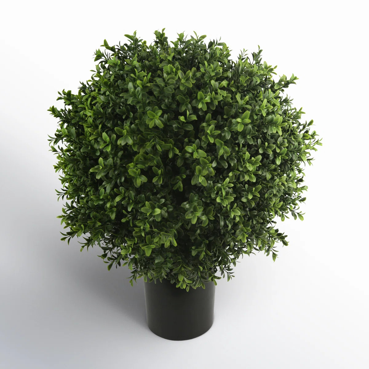 UV Rated Indoor/Outdoor Faux Boxwood Topiary | Birch Lane