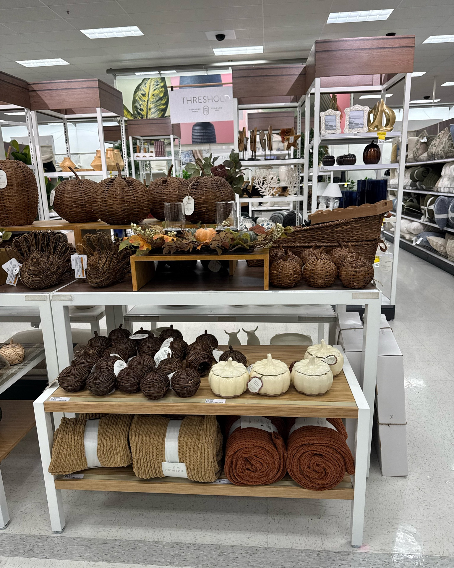 New fall home decor @Target

#LTKHome #LTKmomlife #LTKdayinmylife