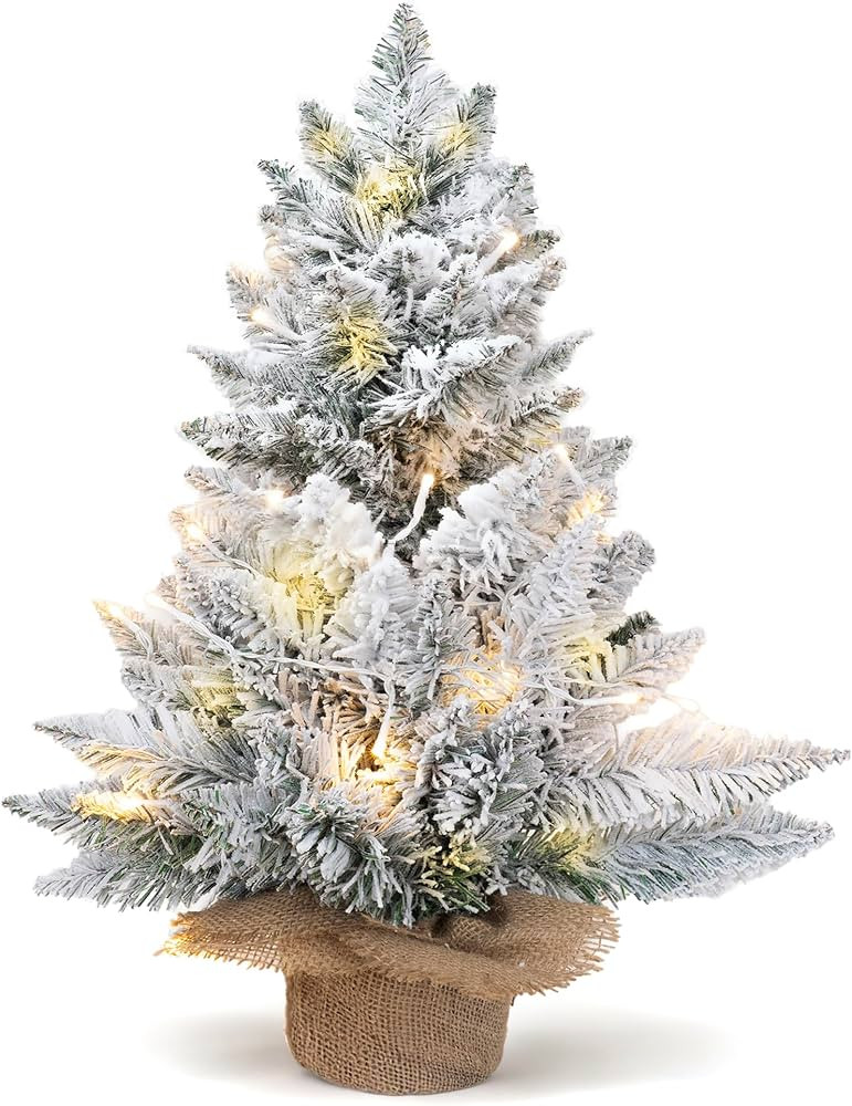 2ft Pre-Lit Artificial Mini Christmas Tree,24 Inch Snowy Flocked Small Tabletop Christmas Tree wi... | Amazon (US)