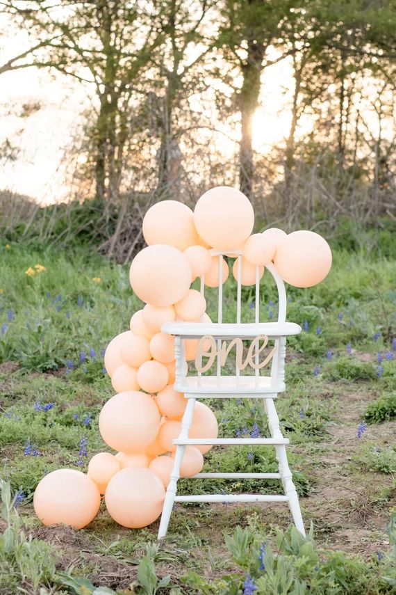 Blush Peach Balloon Garland Kit  First Birthday Balloon | Etsy | Etsy (US)