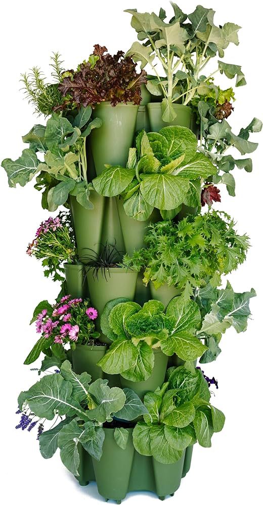 Greenstalk Patented Large 5 Tier Vertical Garden Planter with Patented Internal Watering System G... | Amazon (US)
