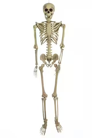 For Living Skeleton Realistic Hanging Full-Size Human, White, 5-ft, Indoor/Outdoor Decoration for... | Canadian Tire